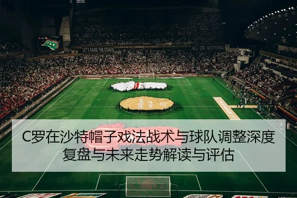luo-zai-sha-te-mao-zi-xi-fa-zhan-shu-yu-qiu-dui-tiao-zheng-shen-du-fu-pan-yu-wei-lai-zou-shi-jie-du-yu-ping-gu-2-388.jpg